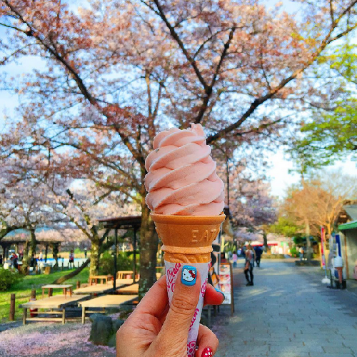 "A Sakura-flavored ice cream in front of Sakura trees at Arashiyama Park in Kyoto!"